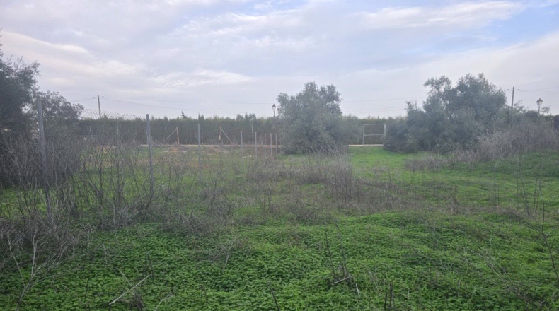 Sevilla - Aznalcázar - 1080m2