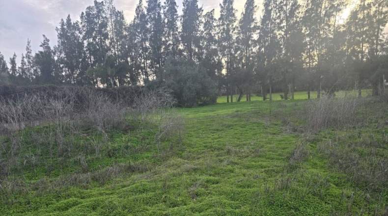 Sevilla - Aznalcázar - 1080m2