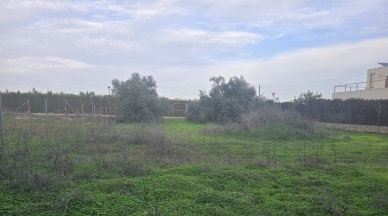 Sevilla - Aznalcázar - 1080m2