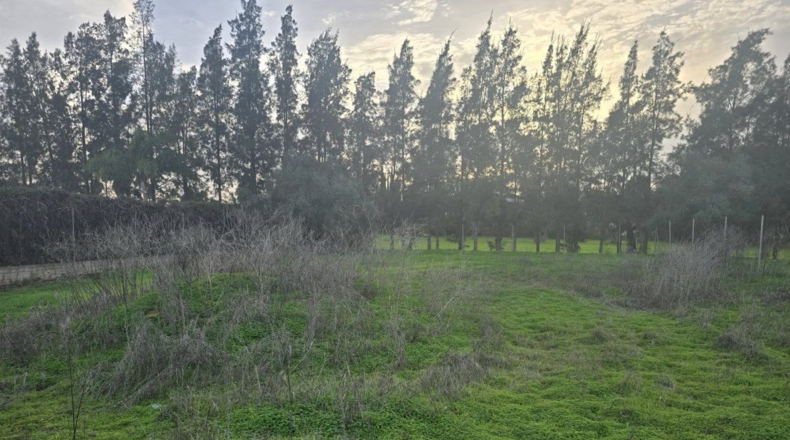 Sevilla - Aznalcázar - 1080m2