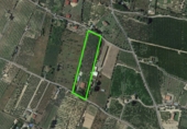 Finca rústica en venda a la España, Móra d'Ebre, ref.: TR16419 foto