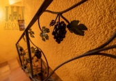 Finca rústica en venda a la España, Móra d'Ebre, ref.: TR16419 foto
