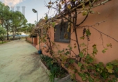Finca rústica en venda a la España, Móra d'Ebre, ref.: TR16419 foto