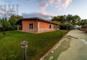 Finca rústica en venda a la España, Móra d'Ebre, ref.: TR16419 foto