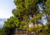 Finca rústica en venda a la España, Móra d'Ebre, ref.: TR16419 foto
