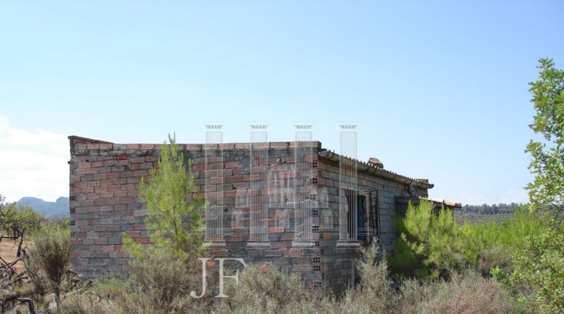 Tarragona - Tivissa - 21903m2