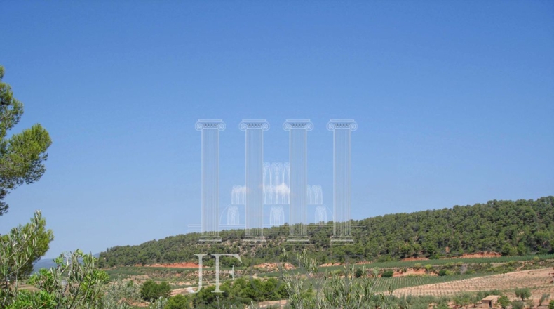 Tarragona - Tivissa - 21903m2