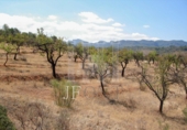 Rural estate for sale on España, Tivissa, ref: TR81213 photo