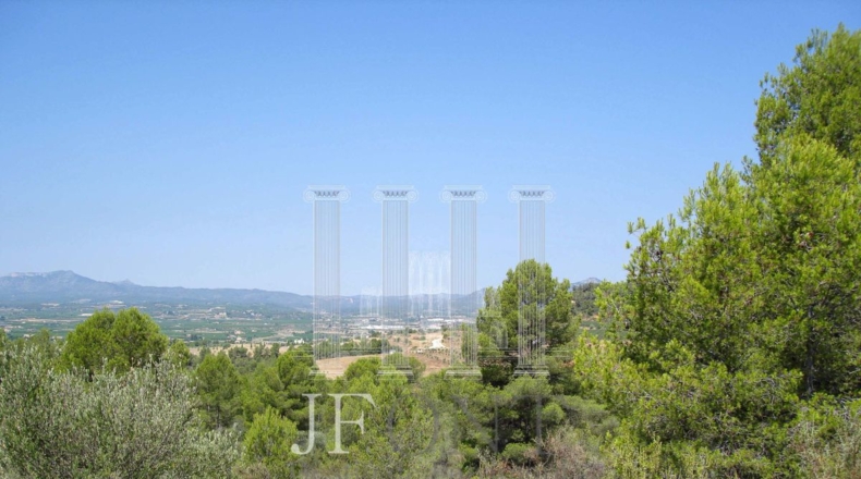 Tarragona - Tivissa - 21903m2