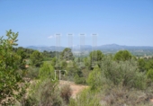 Rural estate for sale on España, Tivissa, ref: TR81213 photo