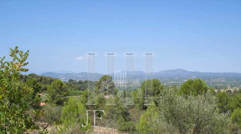 Tarragona - Tivissa - 21903m2