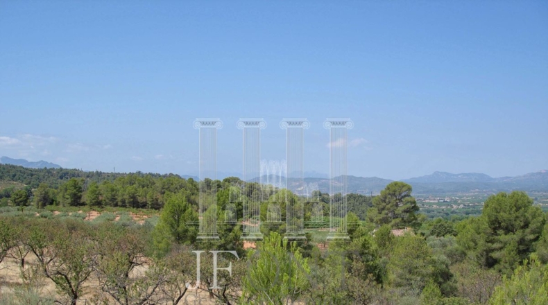 Tarragona - Tivissa - 21903m2