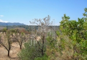 Rural estate for sale on España, Tivissa, ref: TR81213 photo