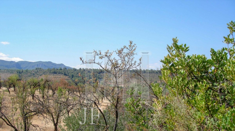 Tarragona - Tivissa - 21903m2