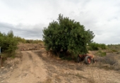 Finca rústica en venda a la España, Tivissa, ref.: TR322809 foto