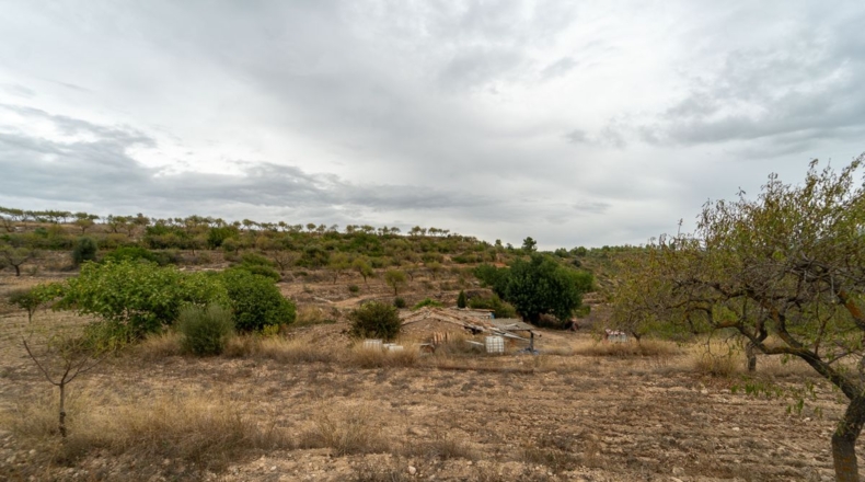 Tarragona - Tivissa - 77540m2