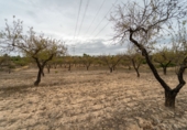 Finca rústica en venda a la España, Tivissa, ref.: TR322809 foto