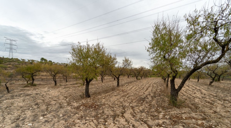 Tarragona - Tivissa - 77540m2