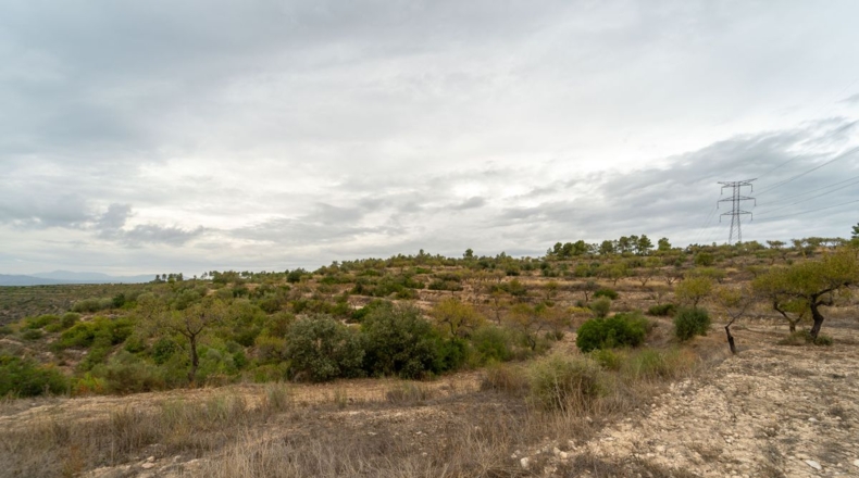 Tarragona - Tivissa - 77540m2