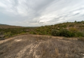Finca rústica en venda a la España, Tivissa, ref.: TR322809 foto