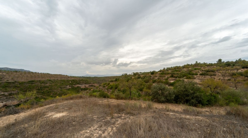 Tarragona - Tivissa - 77540m2