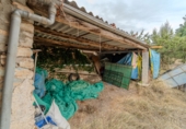 Finca rústica en venda a la España, Tivissa, ref.: TR322809 foto