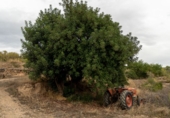 Finca rústica en venda a la España, Tivissa, ref.: TR322809 foto