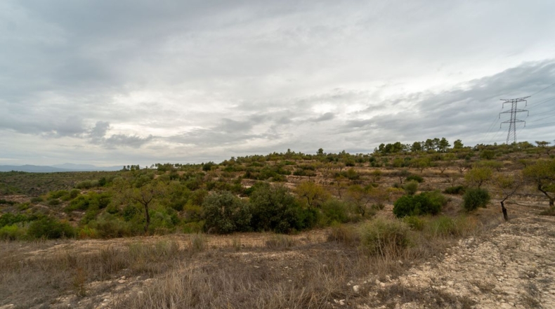 Tarragona - Tivissa - 77540m2