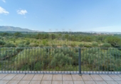 Rural estate for sale on España, Ginestar, ref: TR281176 photo