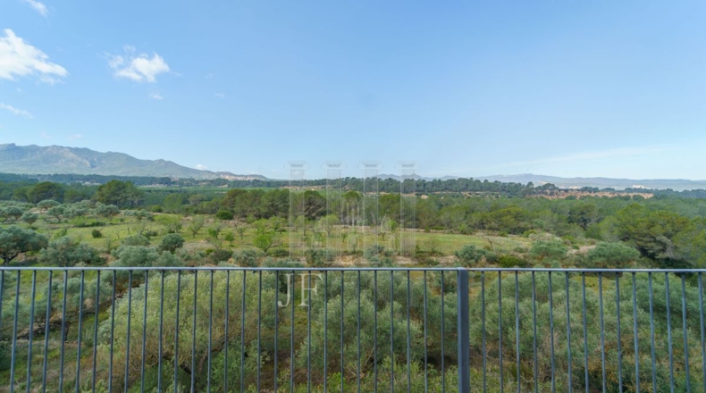 Tarragona - Ginestar - 59856m2