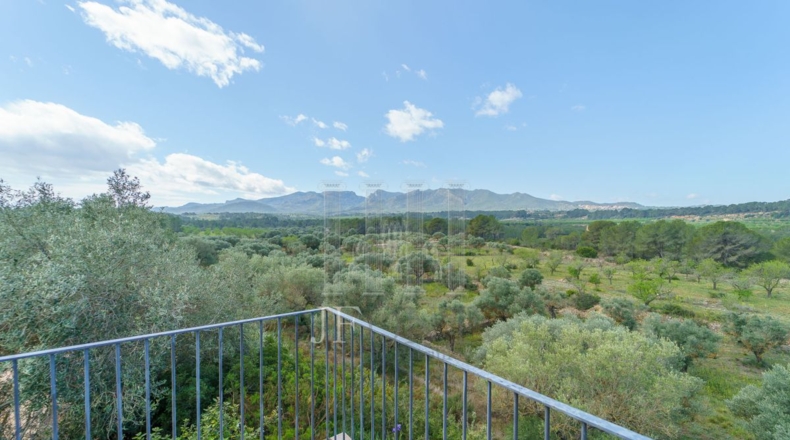 Tarragona - Ginestar - 59856m2