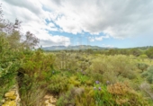 Rural estate for sale on España, Ginestar, ref: TR281176 photo