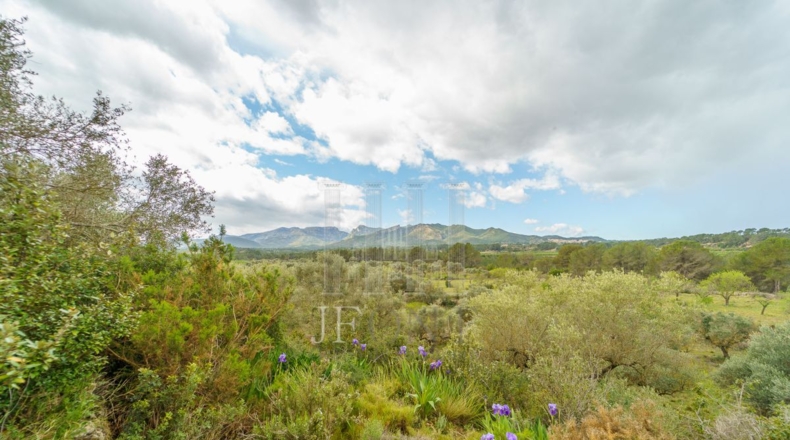 Tarragona - Ginestar - 59856m2