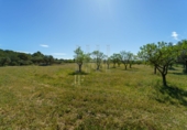 Rural estate for sale on España, Ginestar, ref: TR281176 photo