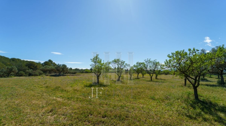 Tarragona - Ginestar - 59856m2