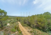 Rural estate for sale on España, Ginestar, ref: TR281176 photo