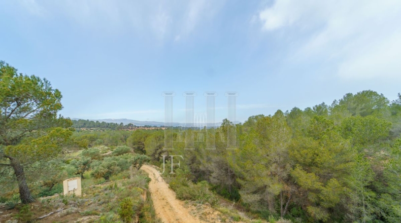Tarragona - Ginestar - 59856m2