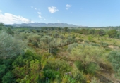 Rural estate for sale on España, Ginestar, ref: TR281176 photo