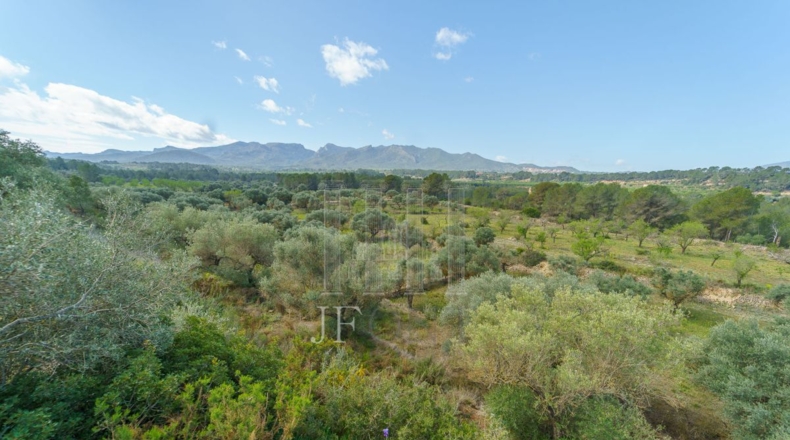 Tarragona - Ginestar - 59856m2