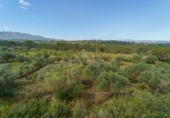 Rural estate for sale on España, Ginestar, ref: TR281176 photo