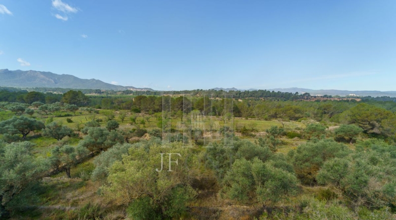 Tarragona - Ginestar - 59856m2