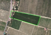 Finca rústica en venda a la España, la Fatarella, ref.: TR182943 foto