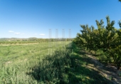 Finca rústica en venda a la España, la Fatarella, ref.: TR182943 foto