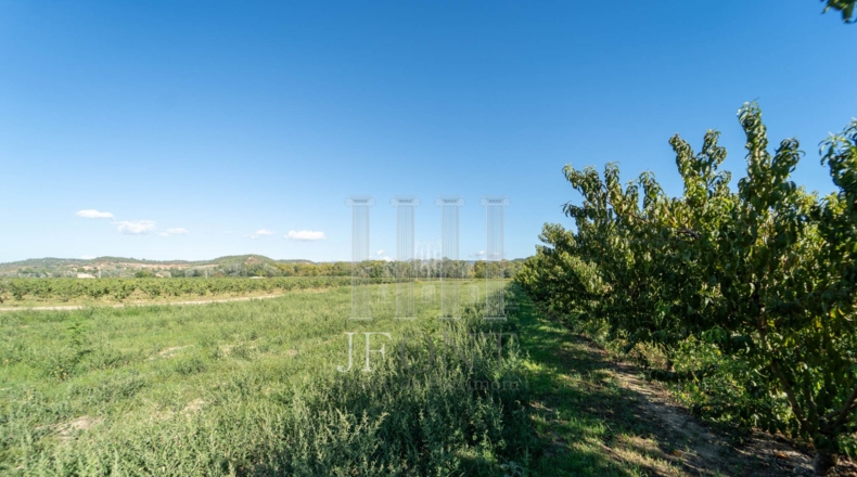 Tarragona - Móra d'Ebre - 15697m2