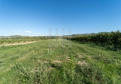 Finca rústica en venda a la España, la Fatarella, ref.: TR182943 foto