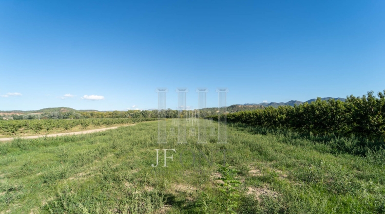 Tarragona - Móra d'Ebre - 15697m2