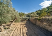 Non-developable land for sale on España, la Fatarella, ref: TR180925 photo