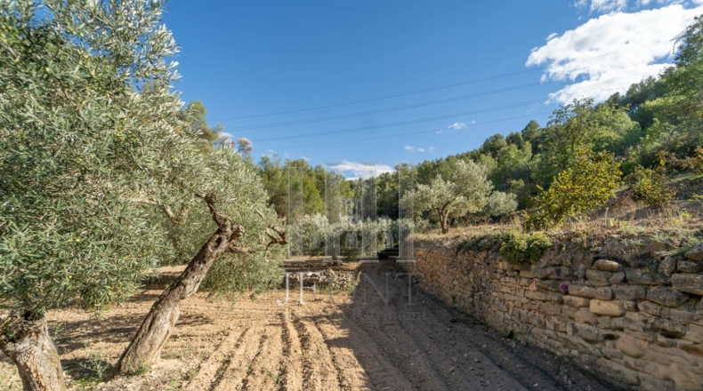 Tarragona - Ribarroja de Ebro - 10266m2