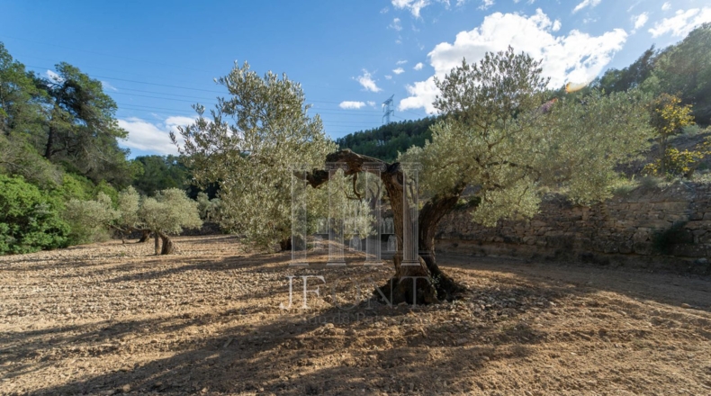Tarragona - Ribarroja de Ebro - 10266m2