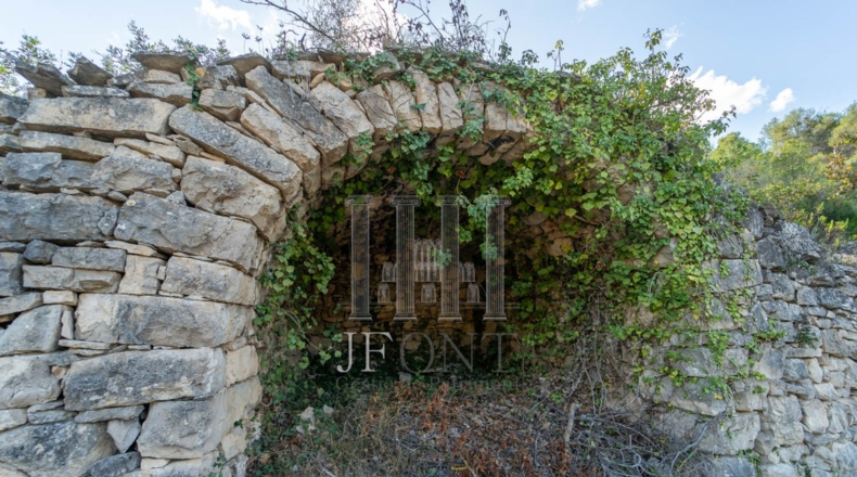 Tarragona - Ribarroja de Ebro - 10266m2